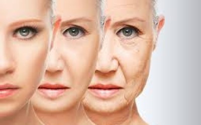 Reduce wrinkles: Stay young